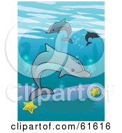 Poster, Art Print Of Group Of Dolphins Swimming Over Starfish