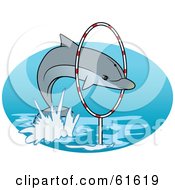 Poster, Art Print Of Trained Dolphin Leaping Through A Hoop