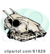 Royalty Free RF Clipart Illustration Of A Dead Deer Skull