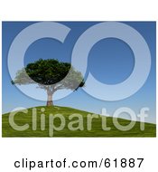 Poster, Art Print Of Mature 3d Cherry Tree On Top Of A Green Hill Under A Blue Sky