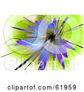 Royalty Free RF Clipart Illustration Of A Purple Floral Explosion Background On Green And White by chrisroll