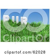 Poster, Art Print Of Green 3d Grassy Hill With Pur Text Under A Blue Sky