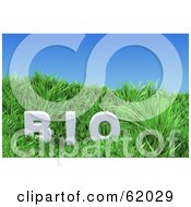 Poster, Art Print Of Green 3d Grassy Hill With Bio Text Under A Blue Sky