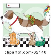 Royalty Free RF Clipart Illustration Of A Saint Bernard Dog Chameleon Parrot Mouse Cat Rabbit And Snake In A Veterinary Clinic by Maria Bell #COLLC62140-0034