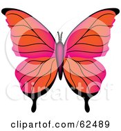 Royalty Free RF Clipart Illustration Of A Beautiful Gradient Orange And Pink Butterfly