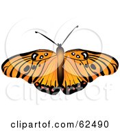 Royalty Free RF Clipart Illustration Of A Beautiful Orange And Black Butterfly