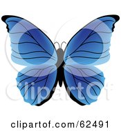 Royalty Free RF Clipart Illustration Of A Beautiful Gradient Blue Butterfly