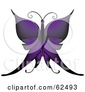 Poster, Art Print Of Beautiful Gradient Purple Butterfly