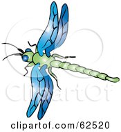 Flying Blue And Green Dragonfly