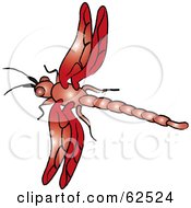 Royalty Free RF Clipart Illustration Of A Flying Red Dragonfly Version 1
