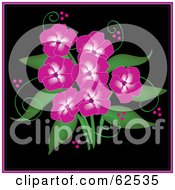 Royalty Free RF Clipart Illustration Of A Bouquet Of Beautiful Pink Phlox Flowers Over Black