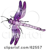 Poster, Art Print Of Flying Purple Dragonfly - Version 1