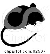 Poster, Art Print Of Cute Black Mouse With A Long Tail And Whiskers