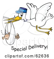 Poster, Art Print Of Flying White Stork With Special Delivery Text