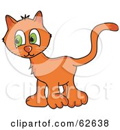 Poster, Art Print Of Shy Orange Kitty Cat With Big Green Eyes