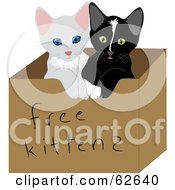 Poster, Art Print Of Two Cute Baby Kitties In A Free Kittens Box