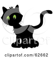 Very Black Kitten With Big Green Eyes