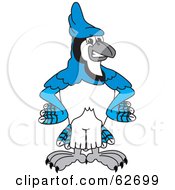 Blue Jay Character School Mascot With His Hands On His Hips