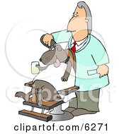 Male Dog Groomer Grooming A Dog With A Razor While He Sits In A Chair Holding A Drink