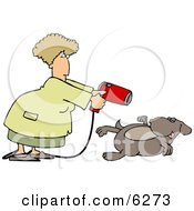 Poster, Art Print Of Female Groomer Blow Drying A Dog