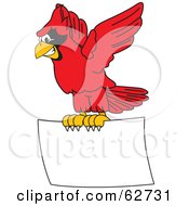 Poster, Art Print Of Red Cardinal Character School Mascot Flying A Blank Sign