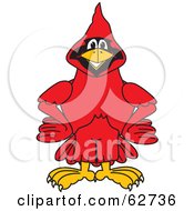 Red Cardinal Character School Mascot With His Hands On His Hips