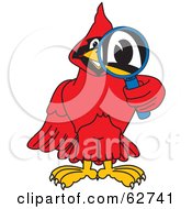 Red Cardinal Character School Mascot Using A Magnifying Glass