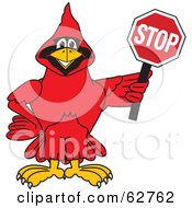 Red Cardinal Character School Mascot Holding A Stop Sign