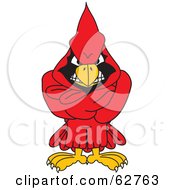 Red Cardinal Character School Mascot With His Arms Crossed