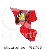 Red Cardinal Character School Mascot Looking Around A Sign