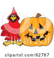 Red Cardinal Character School Mascot With A Halloween Pumpkin