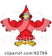 Red Cardinal Character School Mascot Flexing