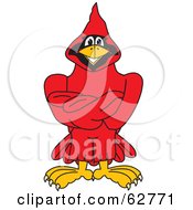 Red Cardinal Character School Mascot With Crossed Arms