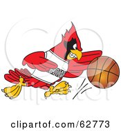 Red Cardinal Character School Mascot Dribbling A Basketball