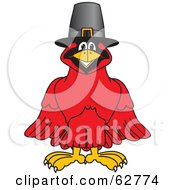 Red Cardinal Character School Mascot Wearing A Pilgrim Hat