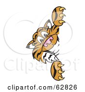 Poster, Art Print Of Tiger Character School Mascot Looking Around A Sign