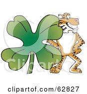 Poster, Art Print Of Tiger Character School Mascot With A Clover