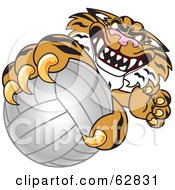 Tiger Character School Mascot Grabbing A Volleyball