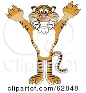 Tiger Character School Mascot Holding His Arms Up by Mascot Junction