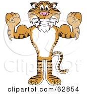 Tiger Character School Mascot Flexing
