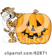 Poster, Art Print Of Cheetah Jaguar Or Leopard Character School Mascot With A Halloween Pumpkin