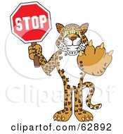 Cheetah Jaguar Or Leopard Character School Mascot Holding A Stop Sign