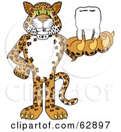 Poster, Art Print Of Cheetah Jaguar Or Leopard Character School Mascot Holding A Tooth