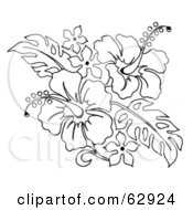 Poster, Art Print Of Black And White Hibiscus Flower Bouquet