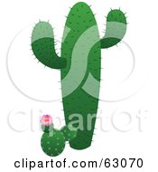 Poster, Art Print Of Tall Green Cactus With A Short Flowering Cactus