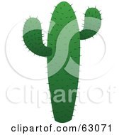 Royalty Free RF Clipart Illustration Of A Tall And Green Prickly Cactus by Rosie Piter