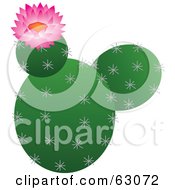 Poster, Art Print Of Blooming Pink Flower On A Prickly Cactus Plant