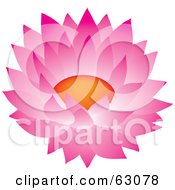 Royalty Free RF Clipart Illustration Of A Beautiful Pink Blooming Cactus Flower by Rosie Piter #COLLC63078-0023