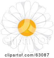 Poster, Art Print Of Round White Daisy Flower With A Yellow Center