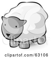Poster, Art Print Of Animal Factor Wooly Sheep